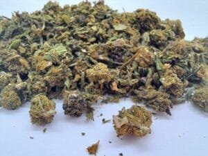 fleur de CBD Trim Premium-GH