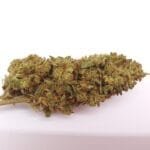 Fleur de CBD Super-Lemon-Haze
