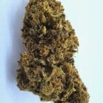 Fleur de CBD Fruit Cake