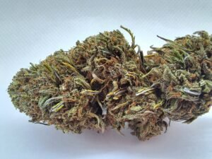 Diesel de mirtilo, estufa, francês - Imagem 3
