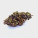 Lifter, fleur cbd cultivée sous serre, française