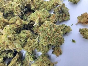 Jack Herer SB