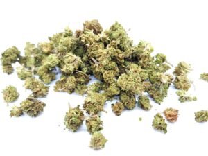 Jack Herer Small Bud – Image 4