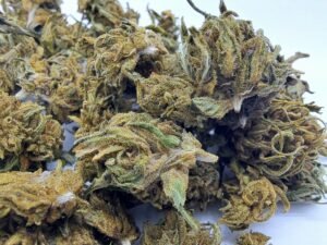 Blueberry Lemon Medium Bud – Image 2
