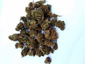 Blueberry Lemon Medium Bud – Image 4