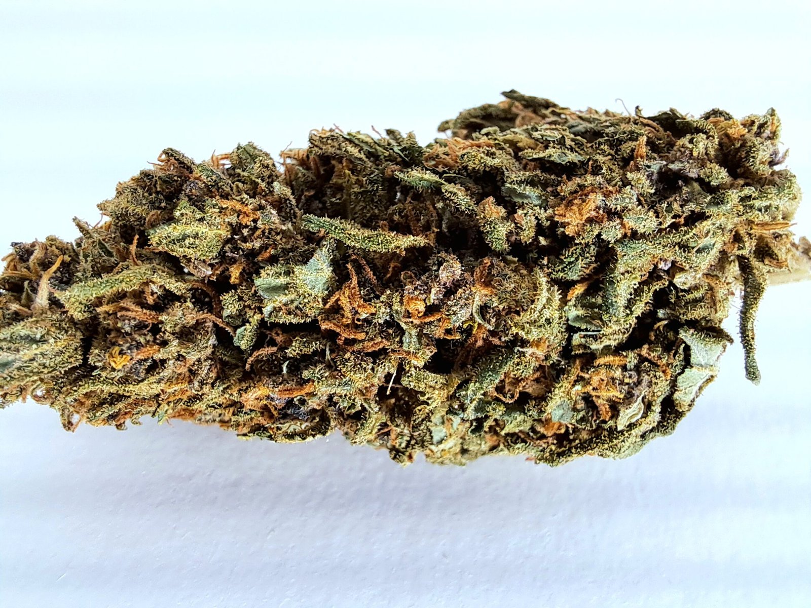 biscotti fleur cbd glasshouse