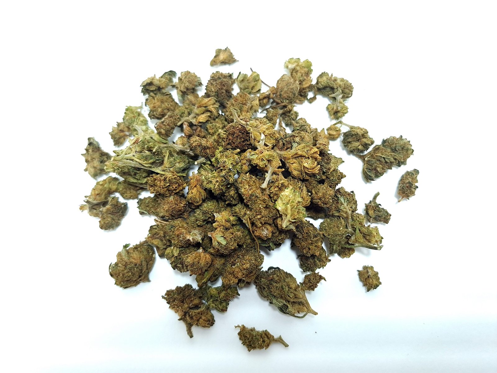 Sweet Afghani THCX 2.0 – Image 3