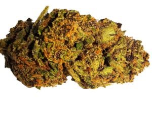 purple kush 1