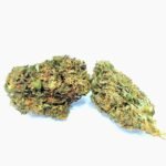 Lemon Cookie 1