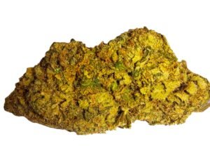 Peanut butter Indoor CALI